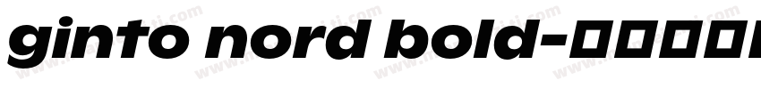 ginto nord bold字体转换